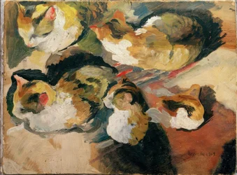 Katzenstudien